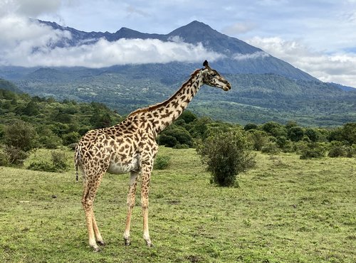 Souvenir du voyage de Josée, Tanzanie