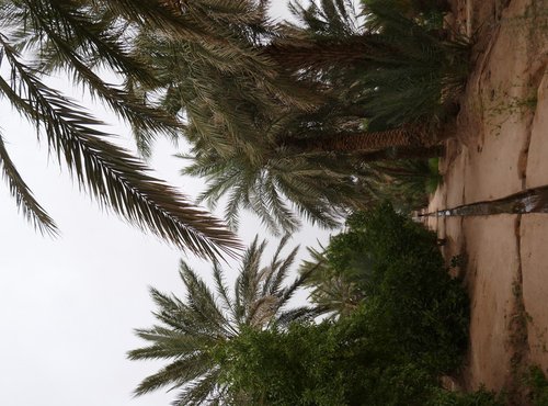 Souvenir du voyage de Bruno, Maroc