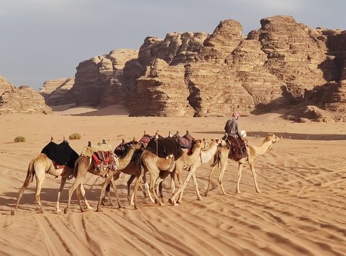 Souvenir du voyage de Laurent, Jordanie