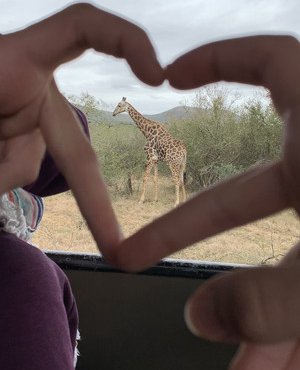 Souvenir du voyage de Pierre, Afrique du Sud