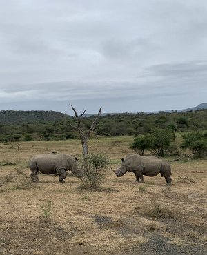 Souvenir du voyage de Pierre, Afrique du Sud