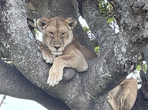 Souvenir du voyage de Béatrice, Tanzanie