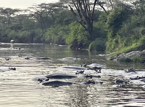 Souvenir du voyage de Béatrice, Tanzanie