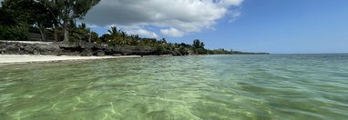 Souvenir du voyage de Béatrice, Tanzanie