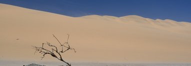 Souvenir du voyage de Franck, Namibie