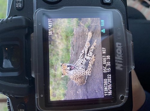 Souvenir du voyage de Chloe, Tanzanie