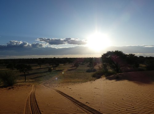 Souvenir du voyage de Alice, Namibie