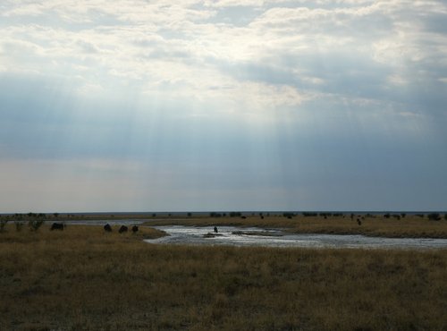 Souvenir du voyage de Alice, Namibie