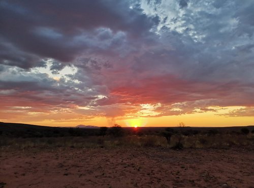 Souvenir du voyage de Alice, Namibie