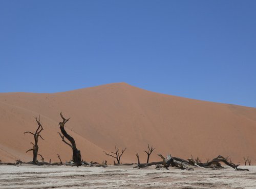 Souvenir du voyage de Alice, Namibie