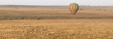 Souvenir du voyage de Fabienne, Kenya