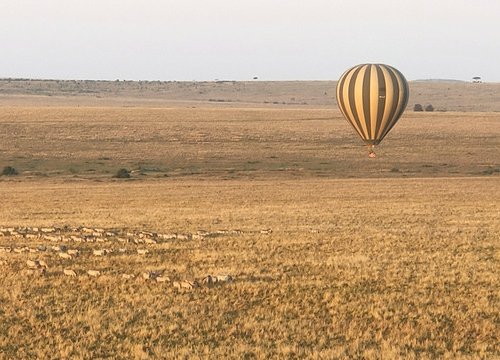 Souvenir du voyage de Fabienne, Kenya