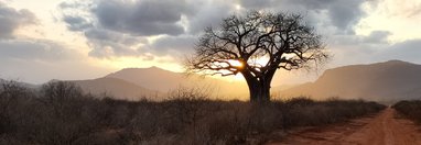 Souvenir du voyage de Fabienne, Kenya