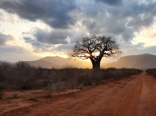 Souvenir du voyage de Fabienne, Kenya