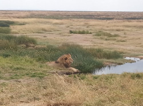 Souvenir du voyage de Patrick, Tanzanie