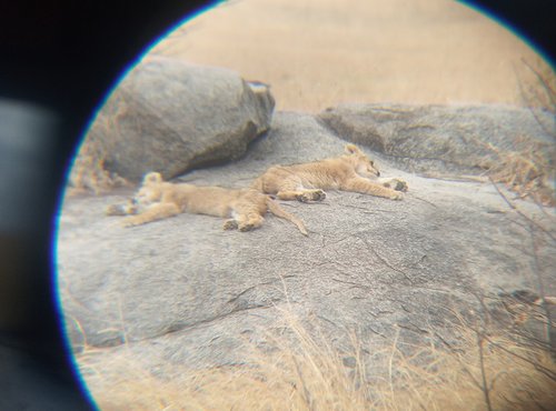 Souvenir du voyage de Patrick, Tanzanie