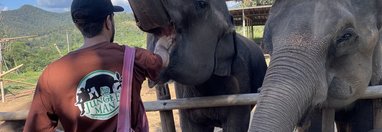 Souvenir du voyage de Lola, Thaïlande