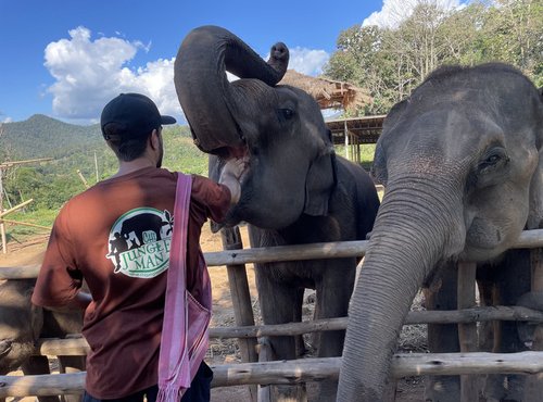 Souvenir du voyage de Lola, Thaïlande