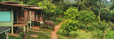 Souvenir du voyage de Pascale, Thaïlande