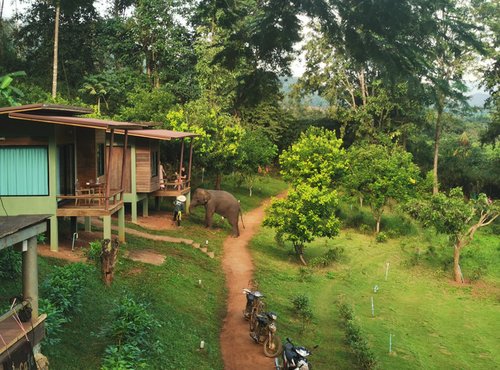 Souvenir du voyage de Pascale, Thaïlande