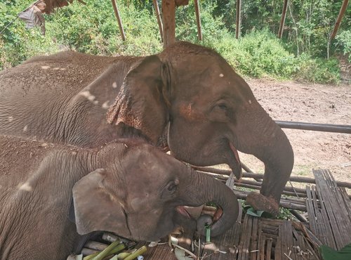 Souvenir du voyage de Pascale, Thaïlande