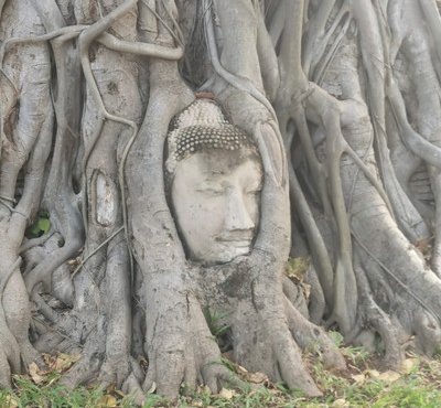 Souvenir du voyage de Pascale, Thaïlande