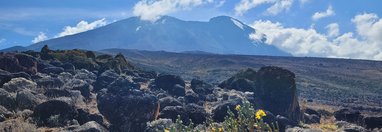 Souvenir du voyage de Dominique, Tanzanie