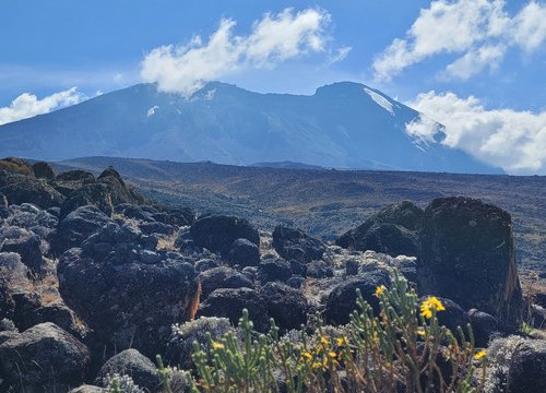 Souvenir du voyage de Dominique, Tanzanie