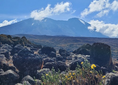 Souvenir du voyage de Dominique, Tanzanie