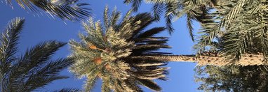 Souvenir du voyage de Catherine, Maroc
