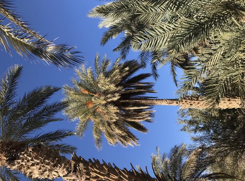 Souvenir du voyage de Catherine, Maroc