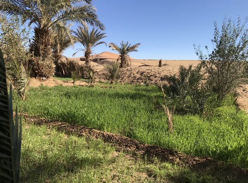 Souvenir du voyage de Catherine, Maroc