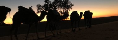 Souvenir du voyage de Catherine, Maroc