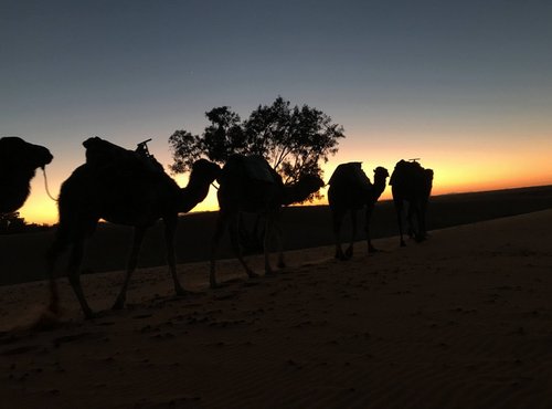 Souvenir du voyage de Catherine, Maroc