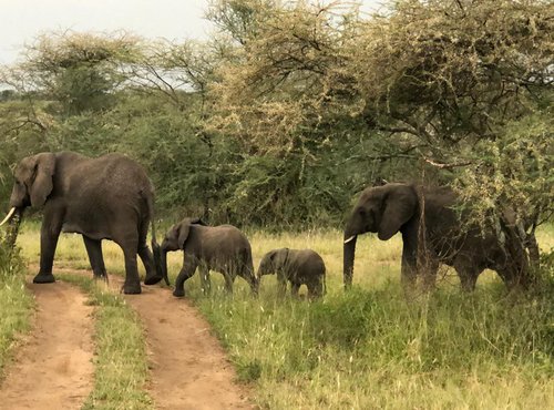 Souvenir du voyage de Agnes, Tanzanie