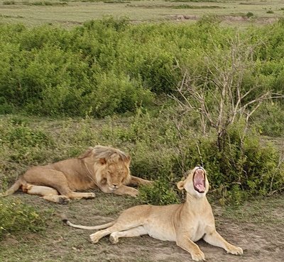 Souvenir du voyage de Agnes, Tanzanie