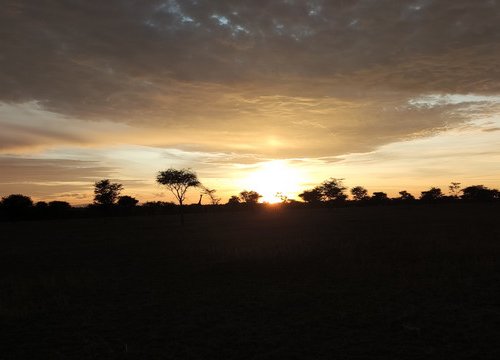 Souvenir du voyage de Geoffrey, Tanzanie