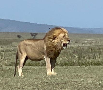 Souvenir du voyage de Philippe, Tanzanie