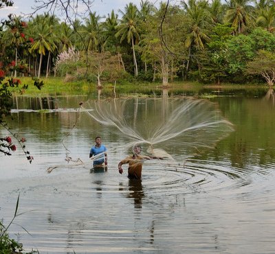 Souvenir du voyage de Frederic, Sri Lanka