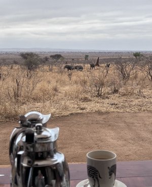 Souvenir du voyage de Pauline, Tanzanie