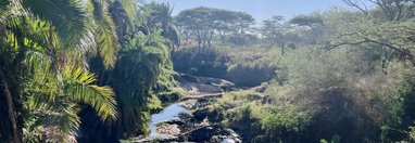 Souvenir du voyage de Pauline, Tanzanie