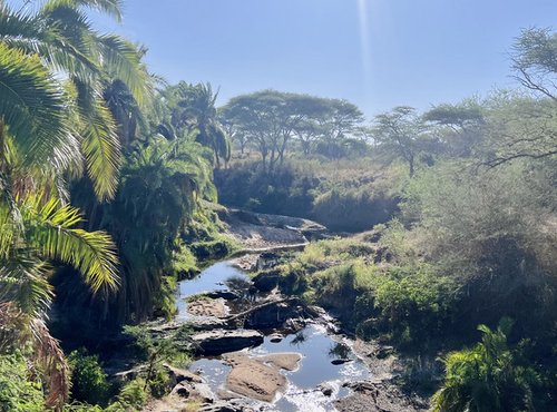 Souvenir du voyage de Pauline, Tanzanie