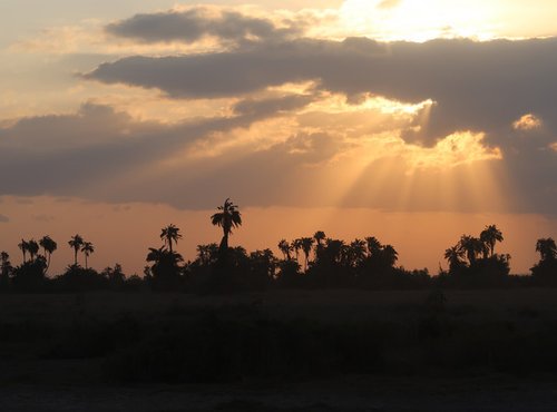 Souvenir du voyage de LUCAS, Kenya