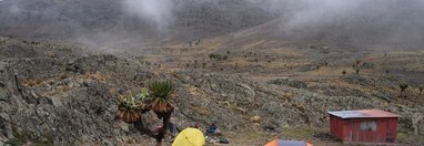 Souvenir du voyage de LUCAS, Kenya