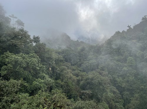 Souvenir du voyage de Monique, Equateur