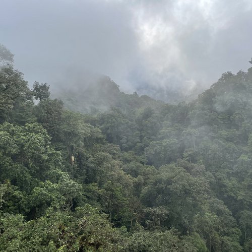 Souvenir du voyage de Monique, Equateur