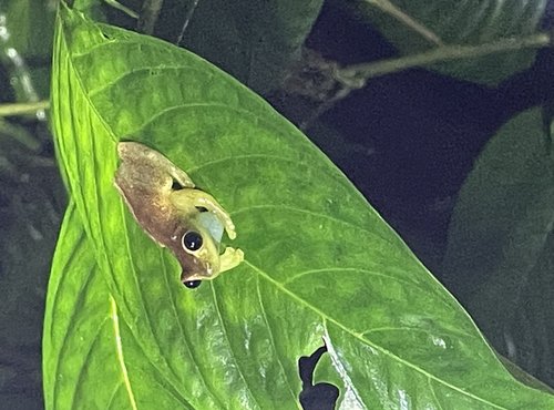 Souvenir du voyage de Monique, Equateur