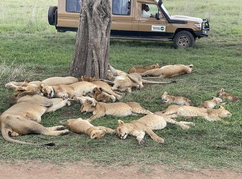 Souvenir du voyage de Alexia, Tanzanie