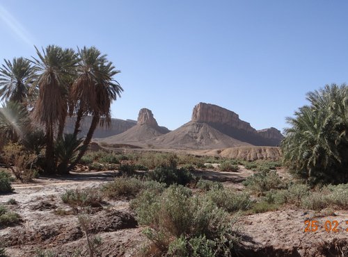 Souvenir du voyage de Jean Claude, Maroc