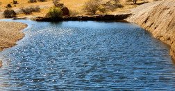 Souvenir du voyage de Marlène, Namibie